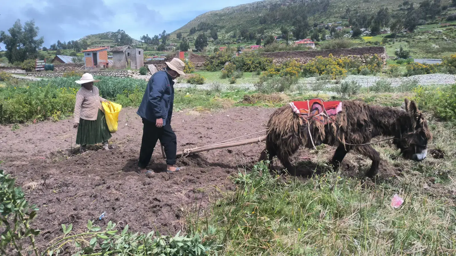 Aymara Living Experience