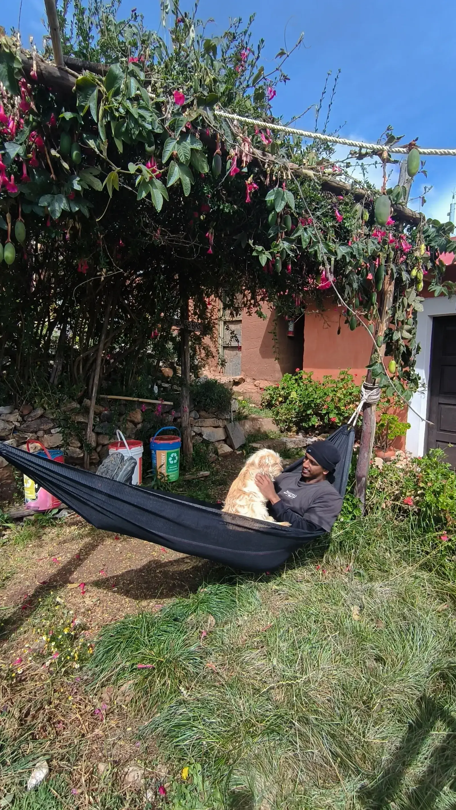 Descanso en hamaca