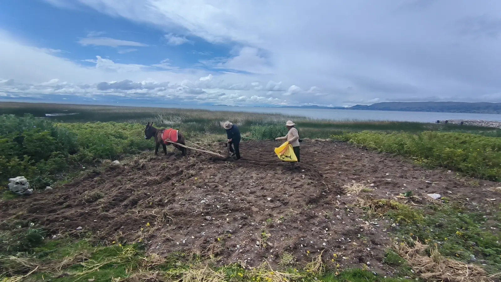 Uros & Luquina Living Experience Image 3