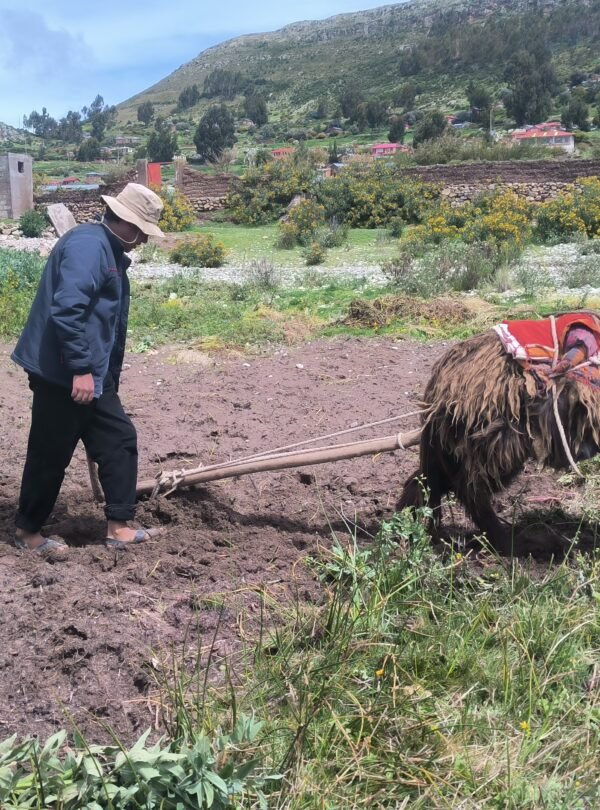 Hands-On Andean Farming Workshop