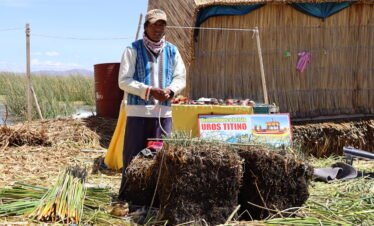 Resident of Uros Titino demonstrating traditional totora reed techniques to build a floating home on Lake Titicaca, Peru