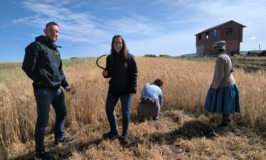 Smiling travelers join local residents in the traditional wheat harvest of Luquina Chico by Lake Titicaca in Puno, Peru during the Off the Beaten Path Lake Titicaca Tour.
